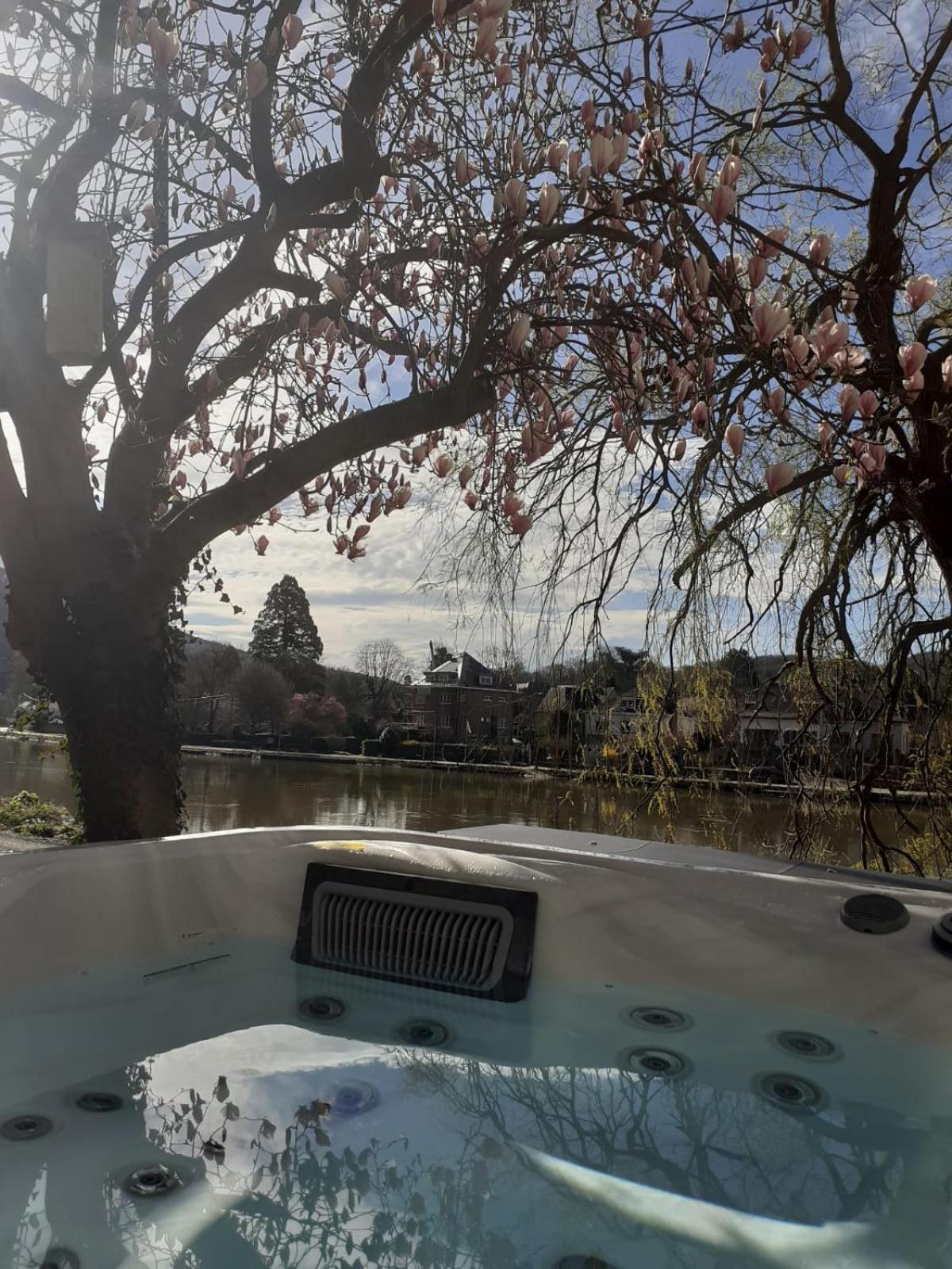 リュスタン Pieds Dans L'Eau Private Wellness Bordure De Meuseヴィラ エクステリア 写真