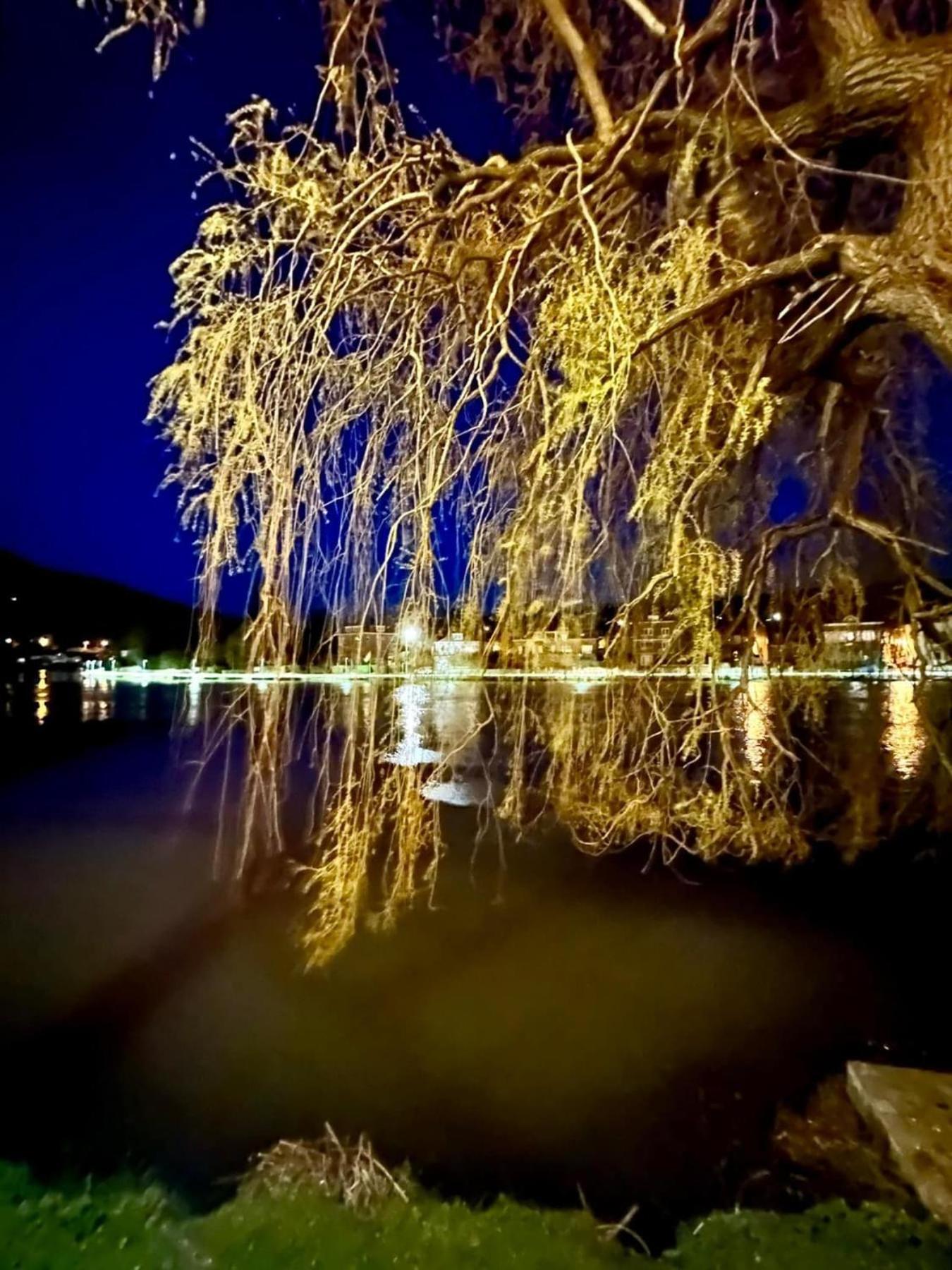 リュスタン Pieds Dans L'Eau Private Wellness Bordure De Meuseヴィラ エクステリア 写真